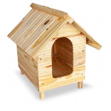 18635 - CASA MADEIRA PINUS MAXIMA PET N.1